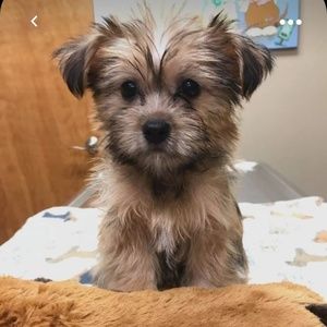 Meet your Posher, Joanne